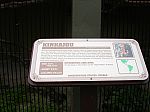Kinkajou Sign
