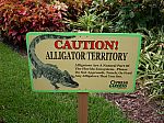 Gator Sign